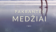 Karen White &bdquo;Pakrantės medžiai&ldquo;
