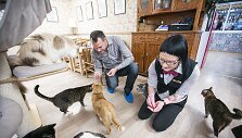 &bdquo;Cat Cafe&ldquo; kavinės akimirka
