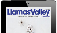 &bdquo;Llamas Valley&ldquo; (iPad versija)