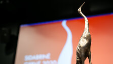 Nacionalinių kino apdovanojimų &bdquo;Sidabrinė gervė&ldquo; spaudos konferencija