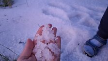 Kelmės rajone per audrą kru&scaron;a nubalino laukus