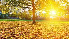 Rudens peizažas