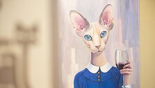 &bdquo;Cat Cafe&ldquo; kavinės akimirka