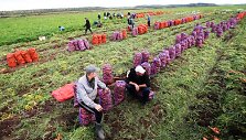 Иллюстративное фото 