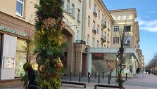Verba &Scaron;iaulių bulvare