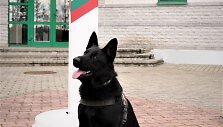 Tarnybinis &scaron;uo Endy