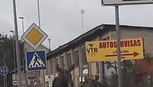 Pramoninėje teritorijoje klajojantys briedžiai sukėlė žmonėms nuostabą.