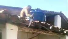 Girta beždžionė su peiliu Brazilijoje vaikėsi vyrus