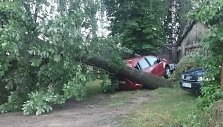 &Scaron;venčionėliuose medis prispaudė automobilį
