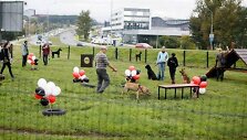 &bdquo;Purina&ldquo; &scaron;unų vedžiojimo aik&scaron;telė