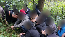 Sulaikymas, bylos įkalčiai