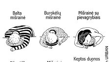 Mi&scaron;rainė