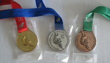 Europos čempionato medaliai