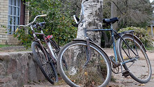 Dviračiai