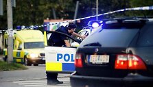 &Scaron;vedijos policija