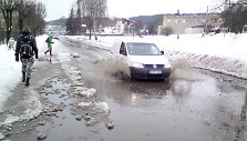 Patvinusi Žalioji g. Vilniuje
