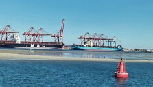  Kompanijos &bdquo;Maersk&ldquo; laivas Volvis Bėjaus uoste (Namibija) dėl medūzų 4 valandas negalėjo i&scaron;plaukti. 