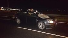 Autostradoje Vilnius-Kaunas &bdquo;Toyota&ldquo; partrenkė i&scaron;bėgusį briedį