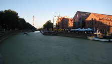 Danės upė pasidengė stora dumblių pluta.
