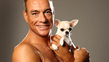  Jeano-Claude'o Van Damme'o fotosesija su čihuahua (2011 m.)