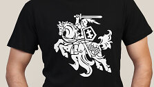 Džemperis su Vyčiu