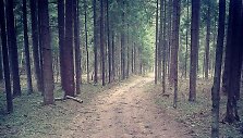 Mi&scaron;kas