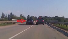 Kelių gaidelis lekia su &bdquo;Audi&ldquo;. Jį siūloma vadinti kelių asilu.