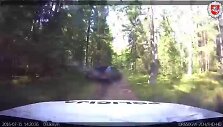 nuozmios-gaudynes-begli-pareigunai-vijosi-zvirkeliais-ir-misko-keliukais