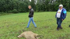 Roki&scaron;kio rajone papjauta avis