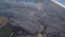 Kur&scaron;ių nerija atsikvėpė &ndash; per kelias valandas beveik 70 hektarų pusiasalio mi&scaron;kų nusiaubęs gaisras numal&scaron;intas.