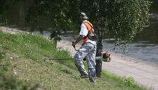 Vilniaus vadovai tikisi, kad atsiras mokančių ir norinčių pagelbėti &scaron;ienaujant žolę.