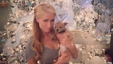Paris Hilton su augintine Tinkerbell