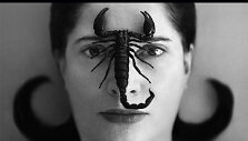 Marina Abramovič &bdquo;Eiti kiaurai sienas&ldquo;