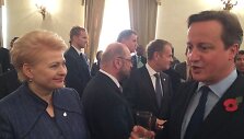 Dalia Grybauskaitė ir Didžiosios Britanijos premjeras Deividas Cameronas
