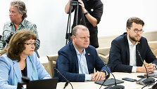 Rima Ba&scaron;kienė, Saulius Skvernelis, Lukas Savickas