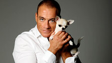 Jeano-Claude'o Van Damme'o fotosesijos su čihuahua kadrai (2011 m.) 