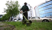 Pirmas žolės &scaron;ienavimas Vilniuje jau eina į pabaigą.