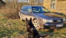 Praidas