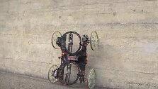 Robotas