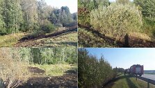 Užvirtęs medis nutraukė auk&scaron;tos įtampos laidus ir uždegė pievą.