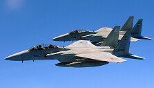 Japonijos naikintuvai &bdquo;Mitsubishi F-15 Eagle&ldquo;