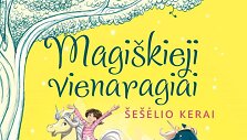 Zanna Davidson &bdquo;Magi&scaron;kieji vienaragiai: &scaron;e&scaron;ėlio kerai&ldquo;