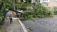Audros padariniai Vokietijoje