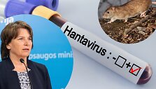 Aurelija Žvirblienė apie hantavirusą