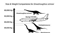 Dinozauro dydžio ir svorio palyginimas