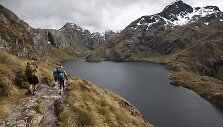 Kalnai Naujojoje Zelandijoje