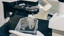 Darbas laboratorijoje