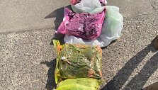 Marijampolės apskrities policijos nuotr.