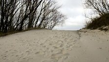 Kur&scaron;ių nerija