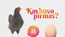 Kas pirmas &ndash; vi&scaron;ta ar kiau&scaron;inis?